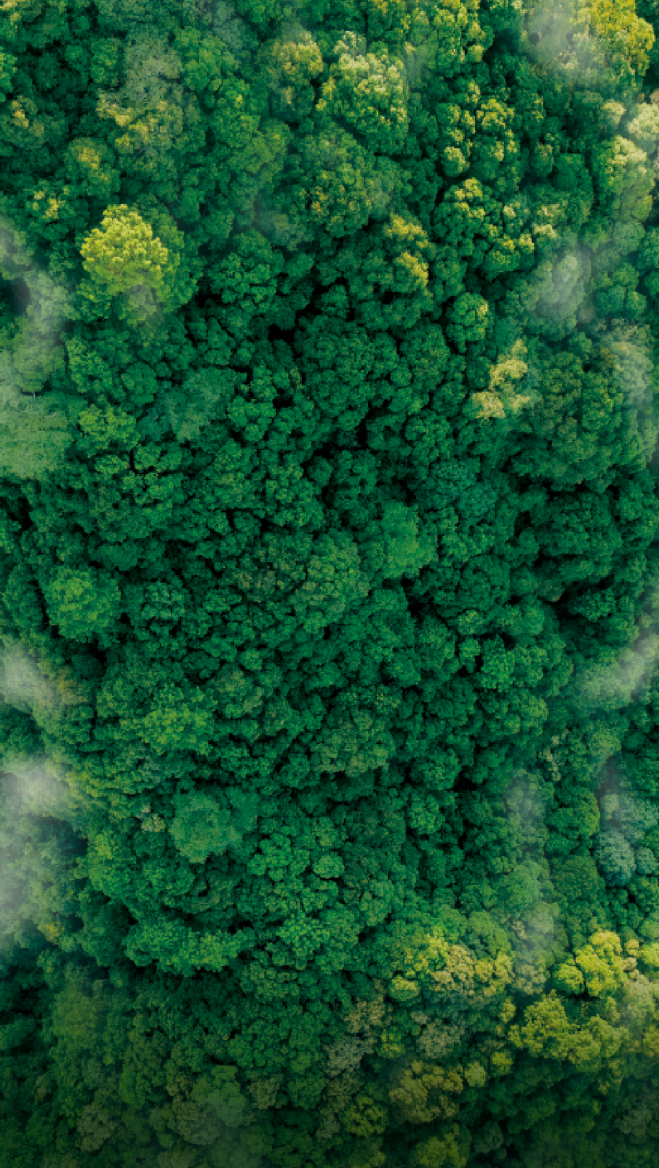 光隆onepark｜限量 森藏級建築